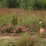 In Auf Ruegen Patzig