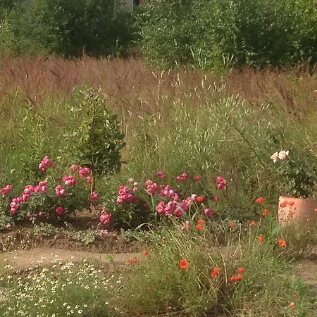 In Auf Ruegen Patzig