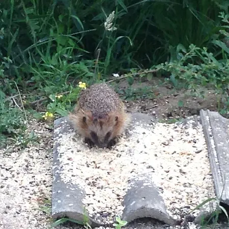 Apartmán In Auf Ruegen