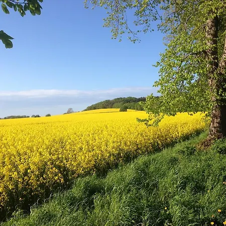 Apartmán In Auf Ruegen *