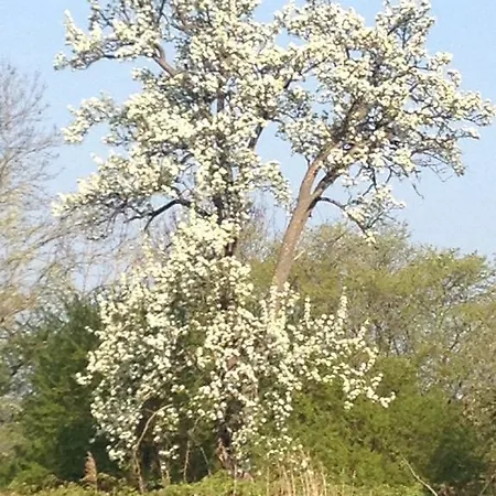 In Auf Ruegen Patzig